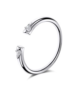Silver Ring NSR-2625